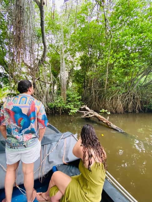 Bentota River Safari: Discover Wildlife & Mangroves by Boat - Practical advice for a comfortable ride