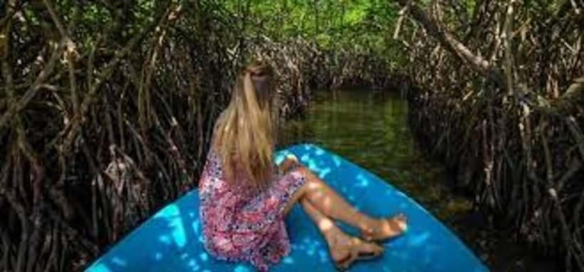 Bentota: River Safari with Hotel Pickup and Drop-Off - Key points at a glance
