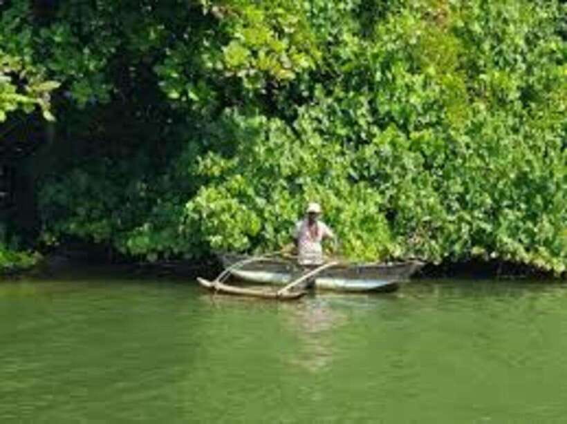 Bentota: River Safari with Hotel Pickup and Drop-Off - Why this Bentota river ride feels different