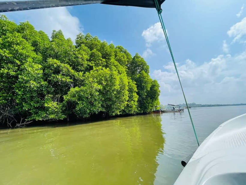 Bentota: River Safari with Hotel Pickup and Drop-Off - What the private format means