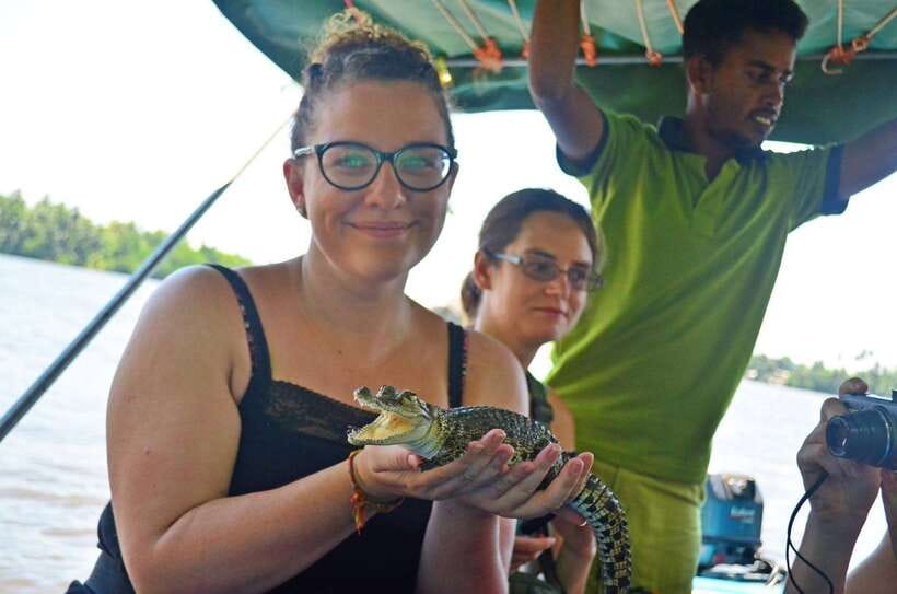 Bentota River Safari with Mangrove and Wildlife Encounter - Into the mangroves: the quietest and best part