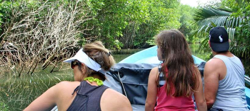 Bentota River Safari with Mangrove and Wildlife Encounter - Guides who add real value