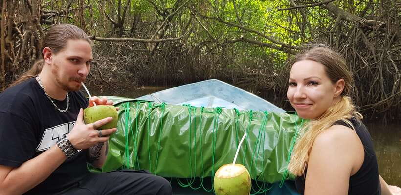 Bentota River Safari with Mangrove and Wildlife Encounter - Coconut and pineapple beside the mangroves