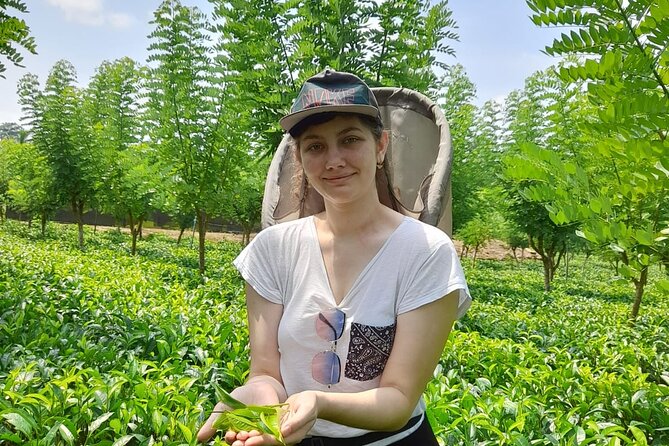 Bentota Village Tour with River Safari & Tea Plantation/Factory - All Inclusive - Setting out on the Bentota River