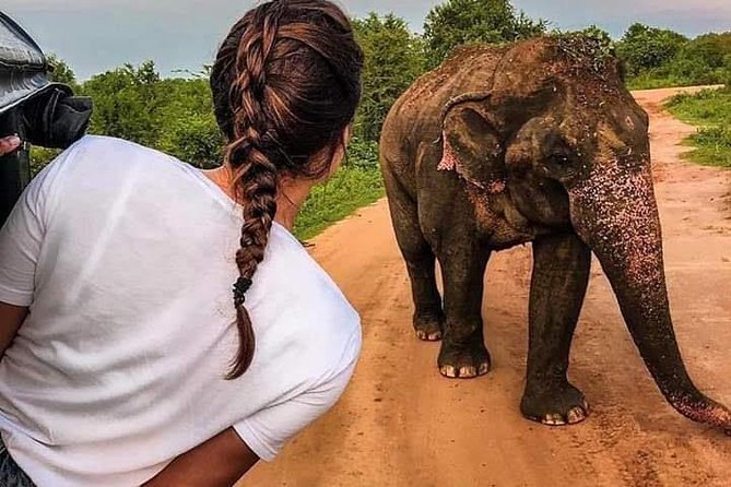 Best Of Sri lanka Tour (06 Days 05 Nights) - Kandy- N.Eliya -Bentota-Colombo - Six useful things to know before booking