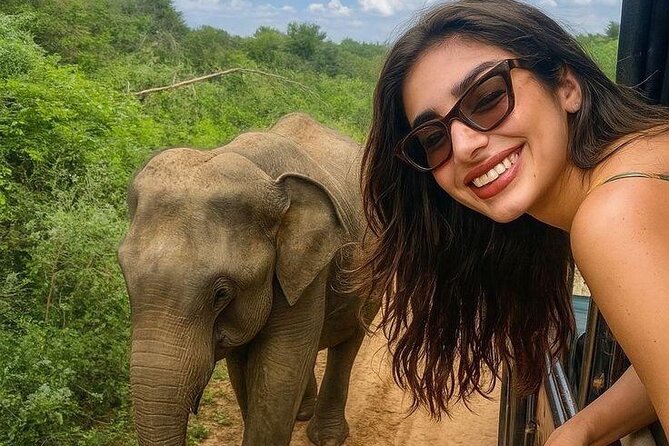 Best Value Yala Safari: Spot Leopards, Elephants & Bears (Shared) - Key points to know before booking