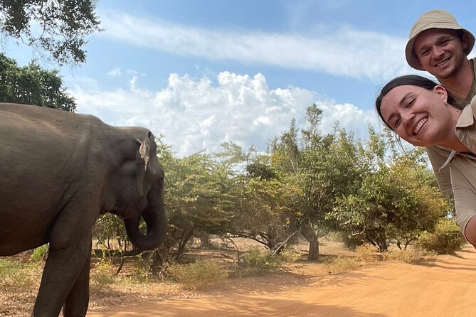 Best Value Yala Safari: Spot Leopards, Elephants & Bears (Shared) - Inside the shared jeep