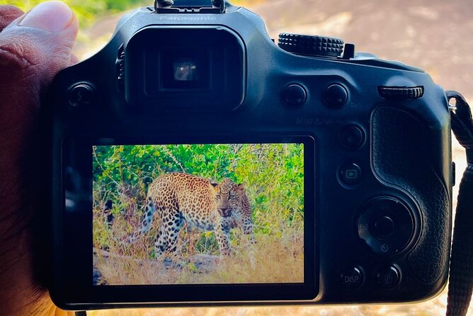 Best Value Yala Safari: Spot Leopards, Elephants & Bears (Shared) - What you can see beyond leopards