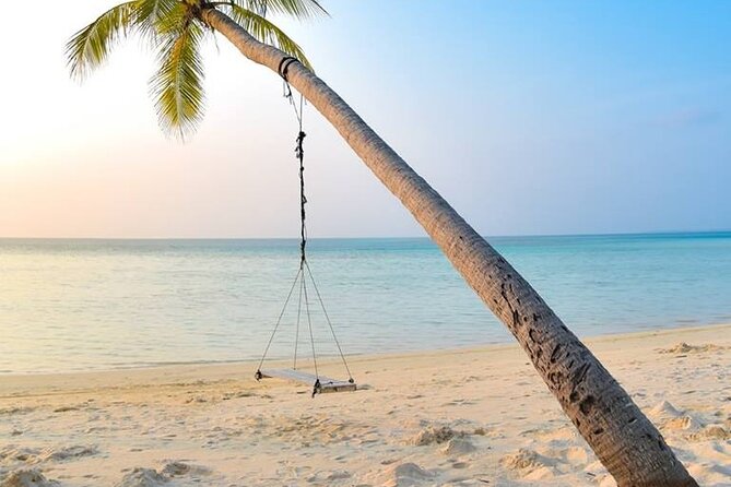Budget Tours Sri Lanka with 7 Nights accommodation - Day 6: From Yala country to Mirissa