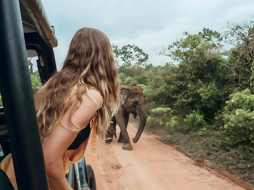 Budget Yala Safari with Accomadation & Meals Included - Key points at a glance