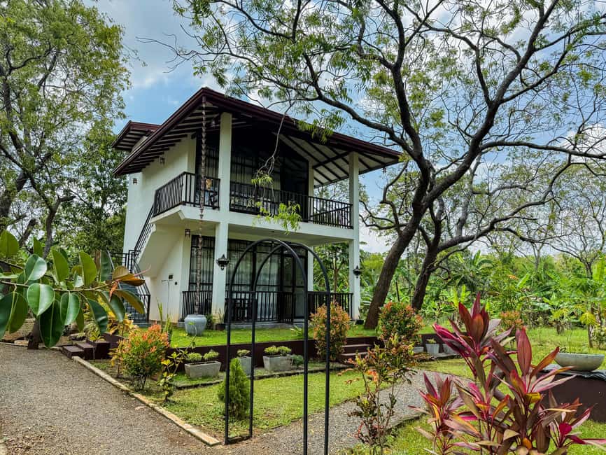 Budget Yala Safari with Accomadation & Meals Included - Choosing between a dorm, hostel room, and farm villa