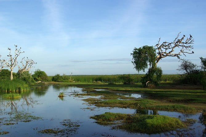 Bundala National Park by Ajith Safari - Paying at Bundala’s entrance