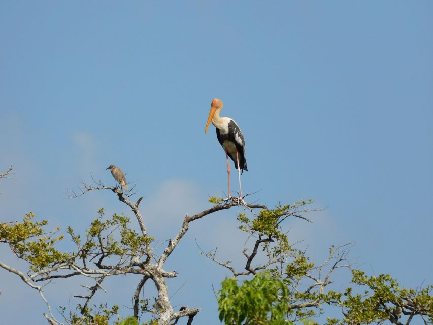 Bundala National Park Safari (PRIVATE TOURS) - Price, inclusions, and the extra fee