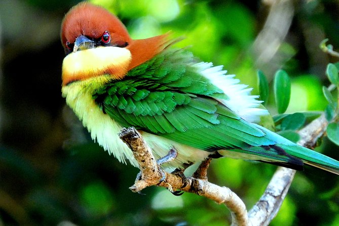 Bundala National Park Safari (PRIVATE TOURS)- Morning & Afternoon - Why Bundala deserves time beside Yala