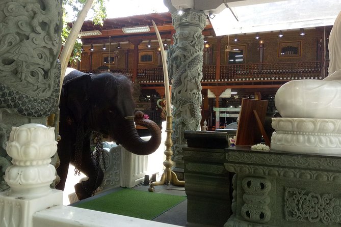 Colombo City Day Tour - Kelaniya Raja Maha Vihara, the outer temple stop