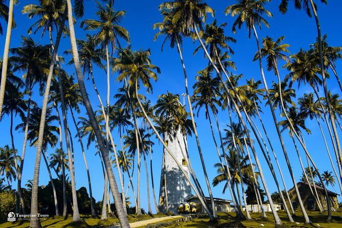 Colombo City Tour By Tuk Tuk (Include Lunch)Morning & Evening - Wolvendaal Church and Dutch-era Colombo
