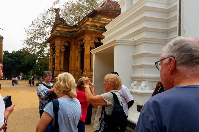 Colombo City Tour (small group with pickup from Cruise ship) - Is $100 per person fair value?