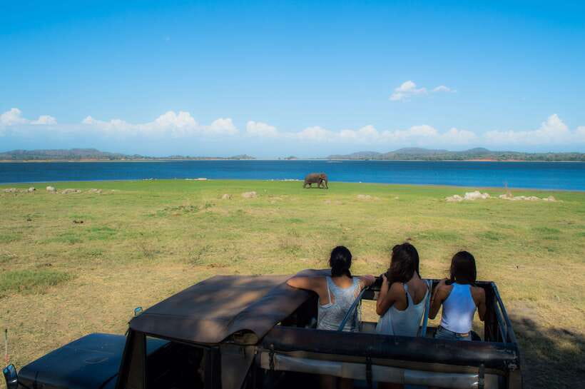 Colombo/Negombo: Sigiriya, Dambulla, and Minneriya Safari - The long return and the limits of a shared tour
