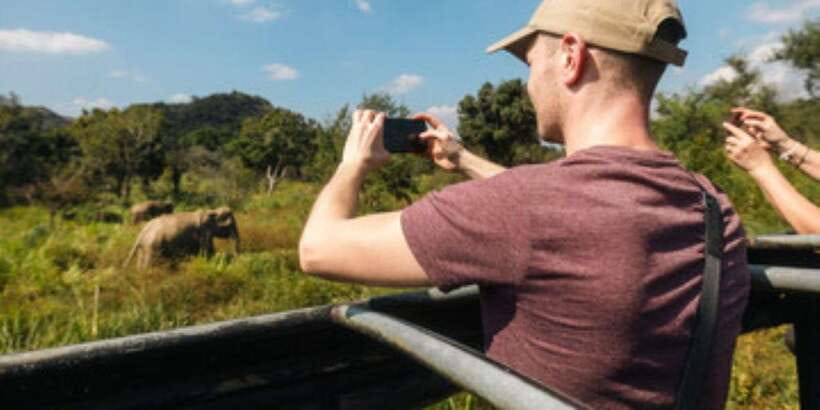 Colombo/Negombo to Sigiriya, Dambulla & Jeep Safari Day Tour - Safari by jeep, with a changing cast of animals