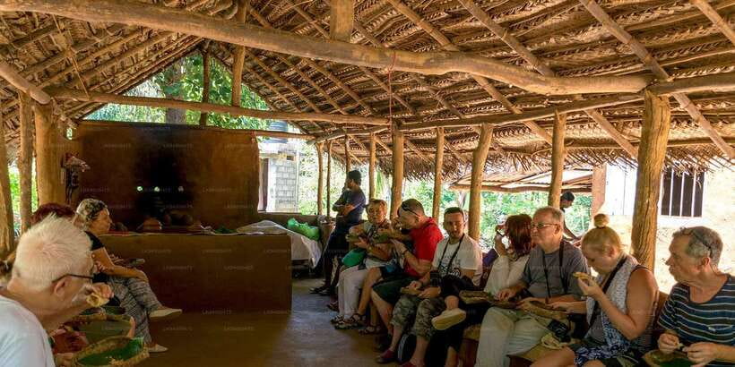 Colombo/Negombo to Sigiriya, Dambulla & Jeep Safari Day Tour - Who will get the most from this tour?