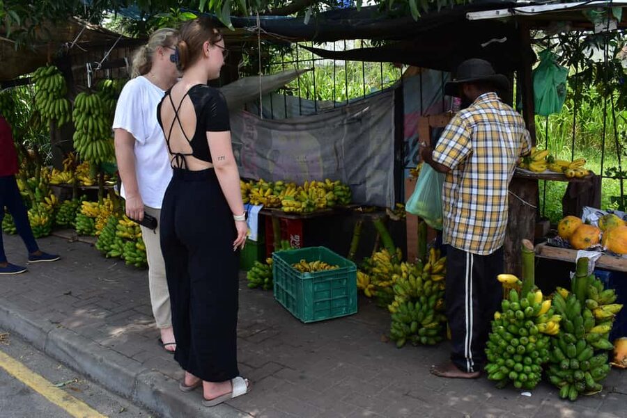 Colombo: private city tour from Negombo with hotel transfers - Galle Face Hotel and the Indian Ocean