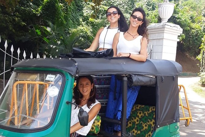 Colombo Private Tuk-Tuk City Tour with All Entry Fees Included - Viharamahadevi Park offers a green pause