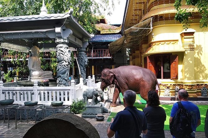 Colombo TUK TUK CITY Tours -Sightseeing Entry Fees - Food, drinks, and the personal guide