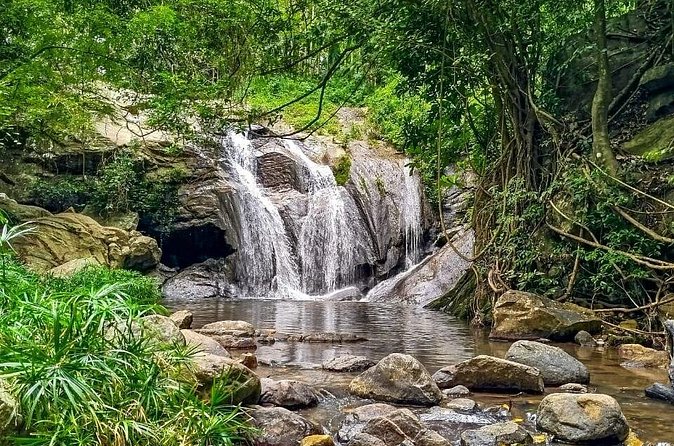 Customized Multi-Day Private Tour Packages in Sri Lanka - Day 4: Wildlife parks and Ella’s railway bridge
