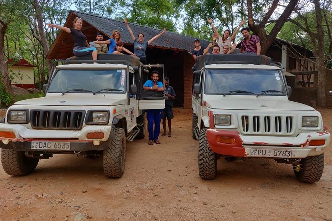 Dambulla & Sigiriya Day Tour from Colombo / Negombo with Lunch - The long road and the value of a private minivan
