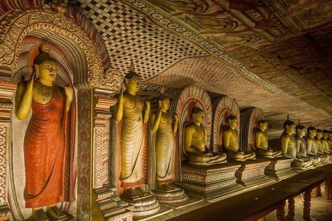 Dambulla & Sigiriya Day Tour from Colombo / Negombo with Lunch - Lunch, food costs, and a useful point to confirm