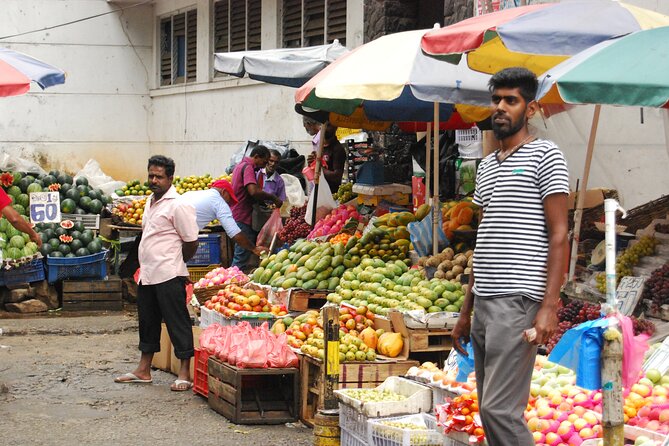 Day out to Galle[Stilt Fishing. Turtle watching.Cinnamon Farm] - Walking through Galle Dutch Fort