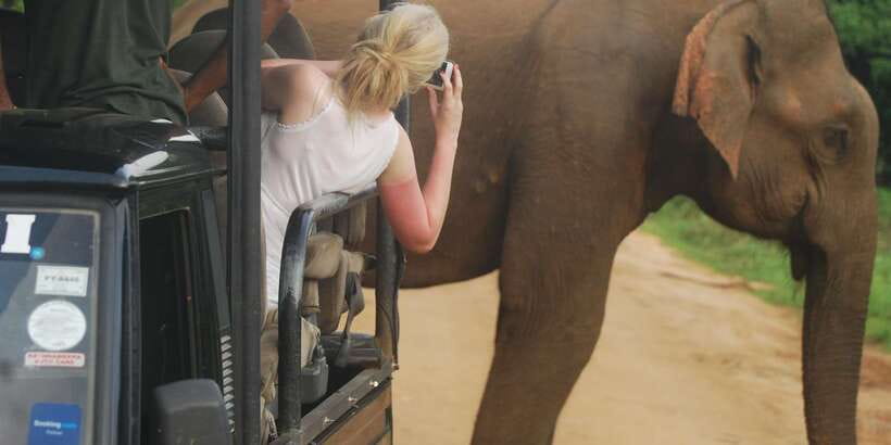 Day Safari From Hambantota - The jeep ride and what the seating means