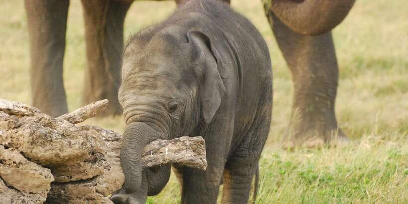 Day Safari From Hambantota - Is $55 per person good value?