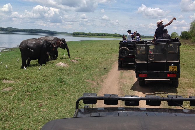 Day Tour from kandy to Sigiriya, Dambulla & National Park safari. - Key points to know before booking