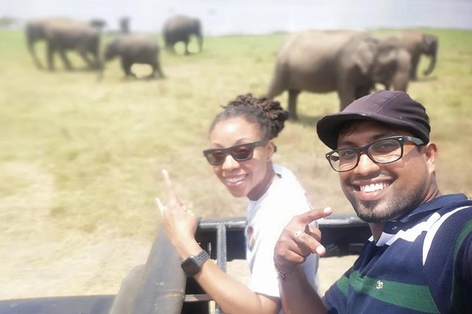 Day Tour from kandy to Sigiriya, Dambulla & National Park safari. - Minneriya National Park and the safari gamble