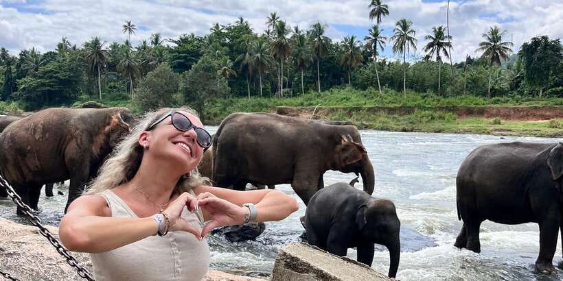 Day Tour to Elephant Orphanage / spice garden - Guides, comfort, and special requests