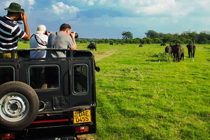Day tour to Minneriya National Park,Sigiriya & Dambulla from Kandy - An Ayurvedic village and roadside food