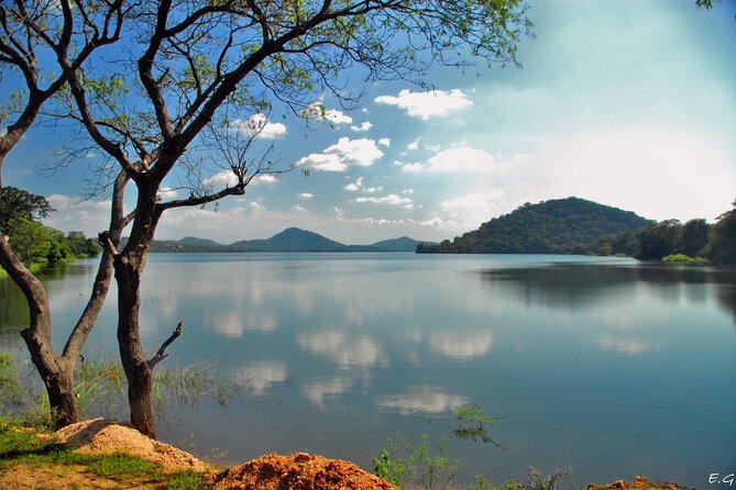 Day tour to Minneriya National Park,Sigiriya & Dambulla from Kandy - Dambulla’s 300 steps and painted caves