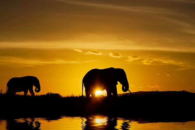 Day tour to Minneriya National Park,Sigiriya & Dambulla from Kandy - Minneriya safari and the elephant factor
