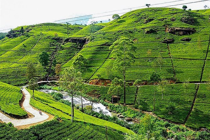 Day Tour to Nuwara Eliya from Kandy by Lux Tours Lanka - Why Nuwara Eliya makes a good day away from Kandy