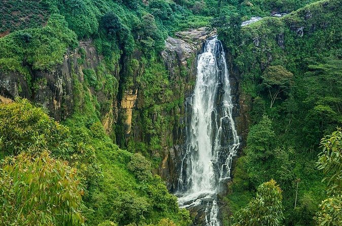 Day Tour to Nuwara Eliya from Kandy by Lux Tours Lanka - Victoria Park offers lawns and flowers in the town centre