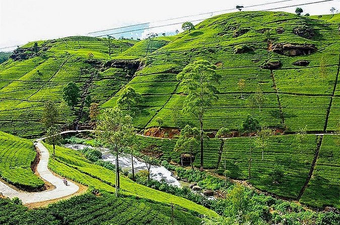 Day Tour to Nuwara Eliya from Kandy by Lux Tours Lanka - Hakgala Botanic Gardens need extra time and a fee