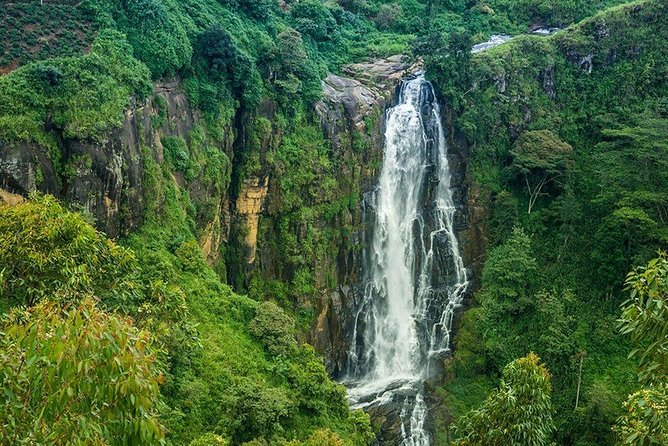 Day Tour to Nuwara Eliya from Kandy by Lux Tours Lanka - Who will enjoy this trip most