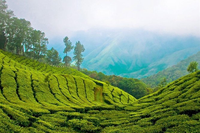 Day Tour to Nuwara Eliya from Kandy by Lux Tours Lanka - Practical details before you book