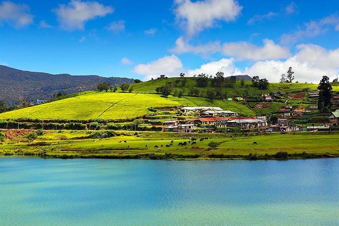 Day Tour to Nuwara Eliya from Kandy by Lux Tours Lanka - Ramboda Waterfall brings the best roadside drama