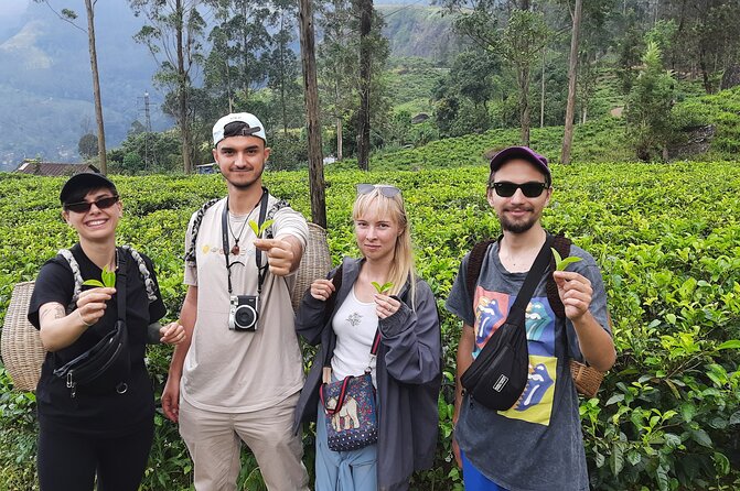 Day tour to Nuwareeliya (Little England) from Kandy - An hour in Nuwara Eliya’s Little England