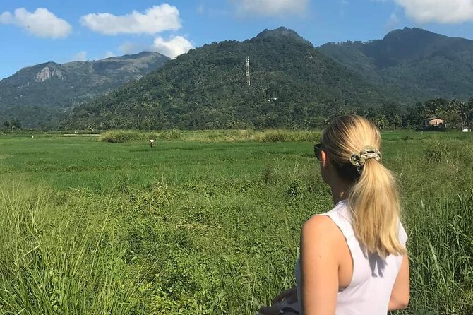 Day tour to Sigiriya & Dambulla from Kandy - Who will enjoy this day most?