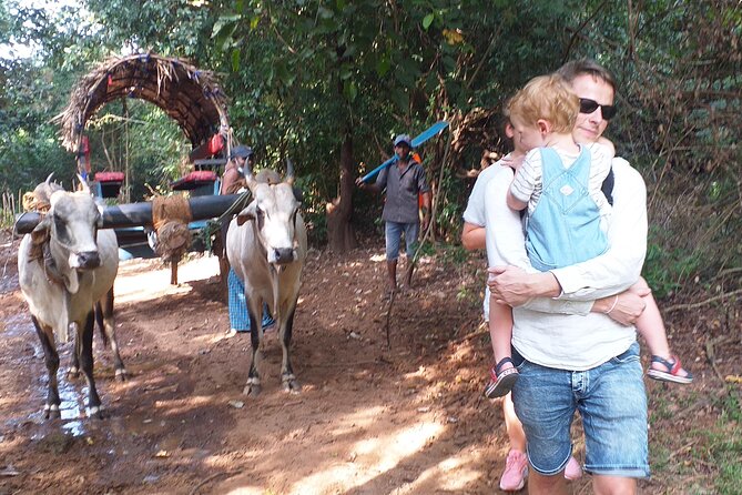 Day Trips from Kandy to Sigiriya with Village Experiences - Dambulla Cave Temple in 90 minutes