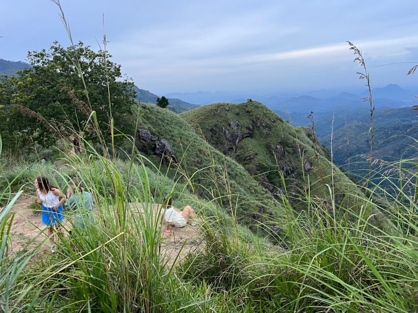 Discover the Best of Sri Lanka in 2 Days - The spice garden needs a clear-eyed approach
