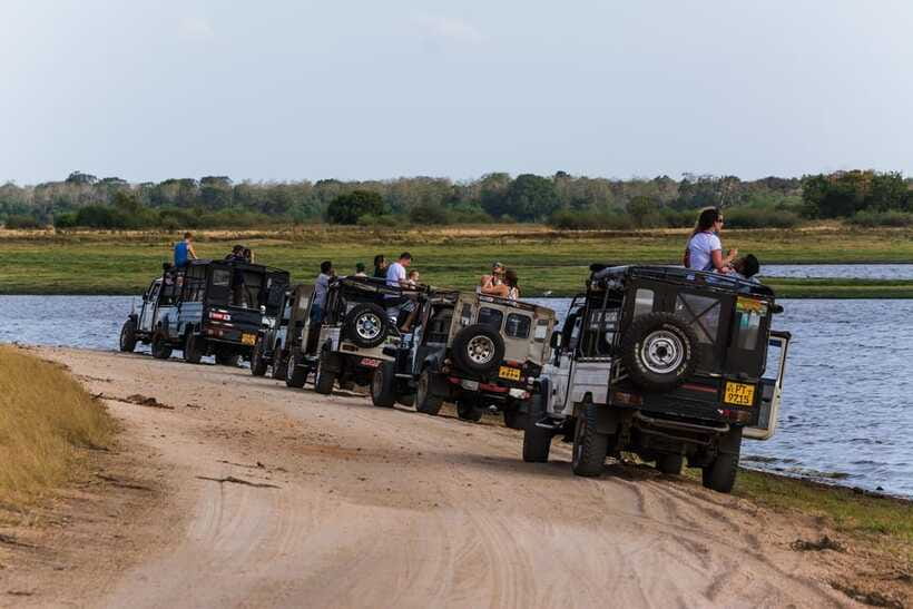 Elephant Jeep Safari at Minneriya National Park - Sun, heat, and comfort in the jeep